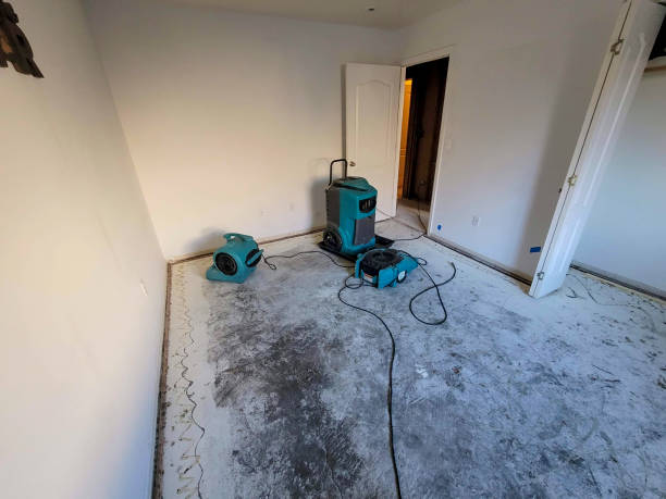 Best Residential water damage restoration  in Hildebran, NC