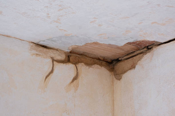 Best 24-hour water damage restoration  in Hildebran, NC