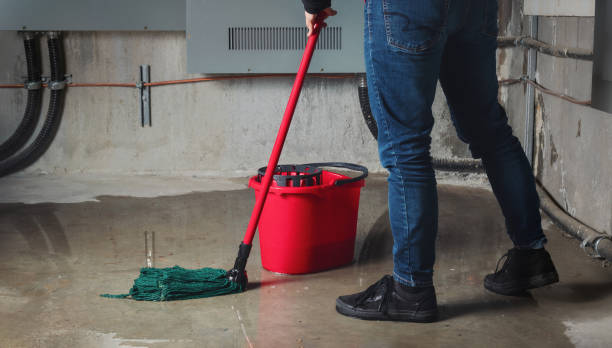Best Water damage restoration near me  in Hildebran, NC