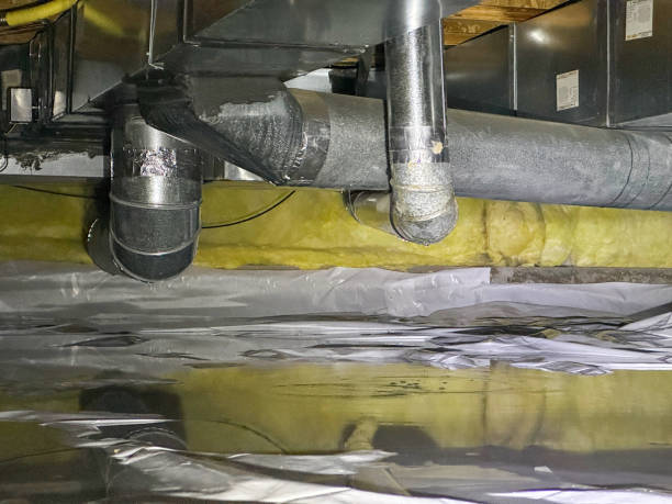 Best Basement water damage restoration  in Hildebran, NC